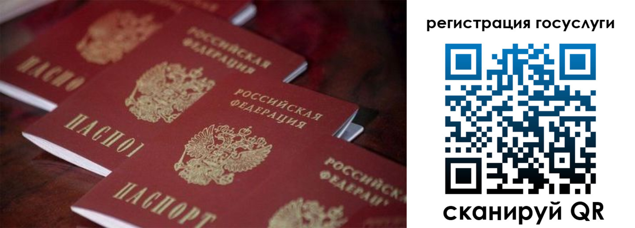 прописка в квартире в Истре